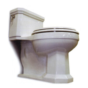Low-Flow Toilets: Half the Water, Twice the Flush! Image